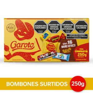 GAROTO CAJA DE BOMBONES SURTIDOS 300G 08/07/24